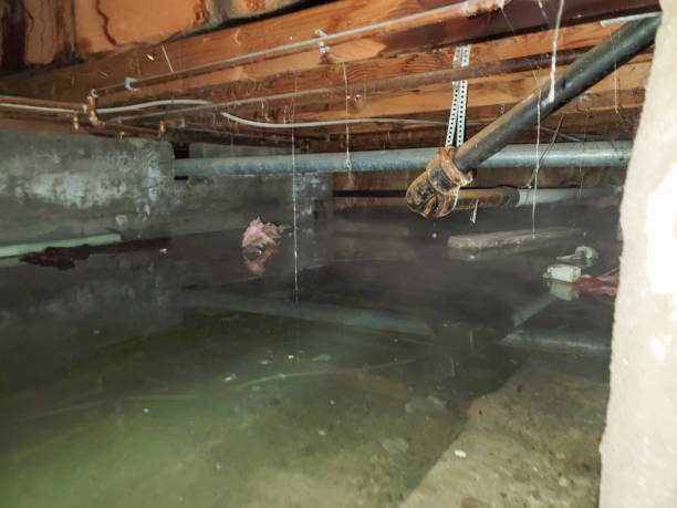  Yaphank, NY Water damage restoration Pros