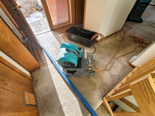 Best Flood restoration services  in Yaphank, NY