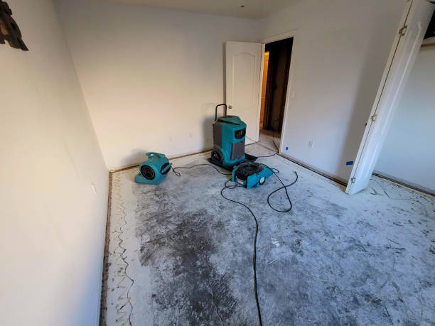 Best Commercial water damage restoration  in Yaphank, NY