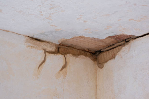 Best Sewage cleanup and water damage restoration  in Yaphank, NY