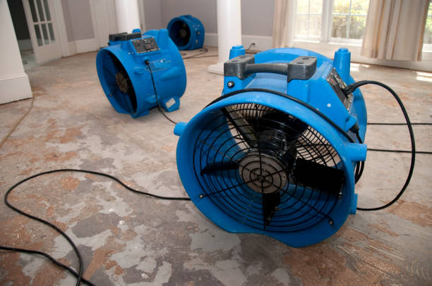 Best Sewage cleanup and water damage restoration  in Yaphank, NY