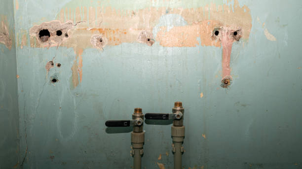 Best Water damage cleanup near me  in Yaphank, NY