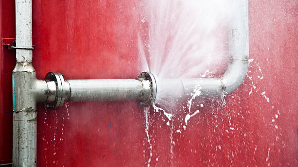 Best Water damage contractors near me  in Yaphank, NY